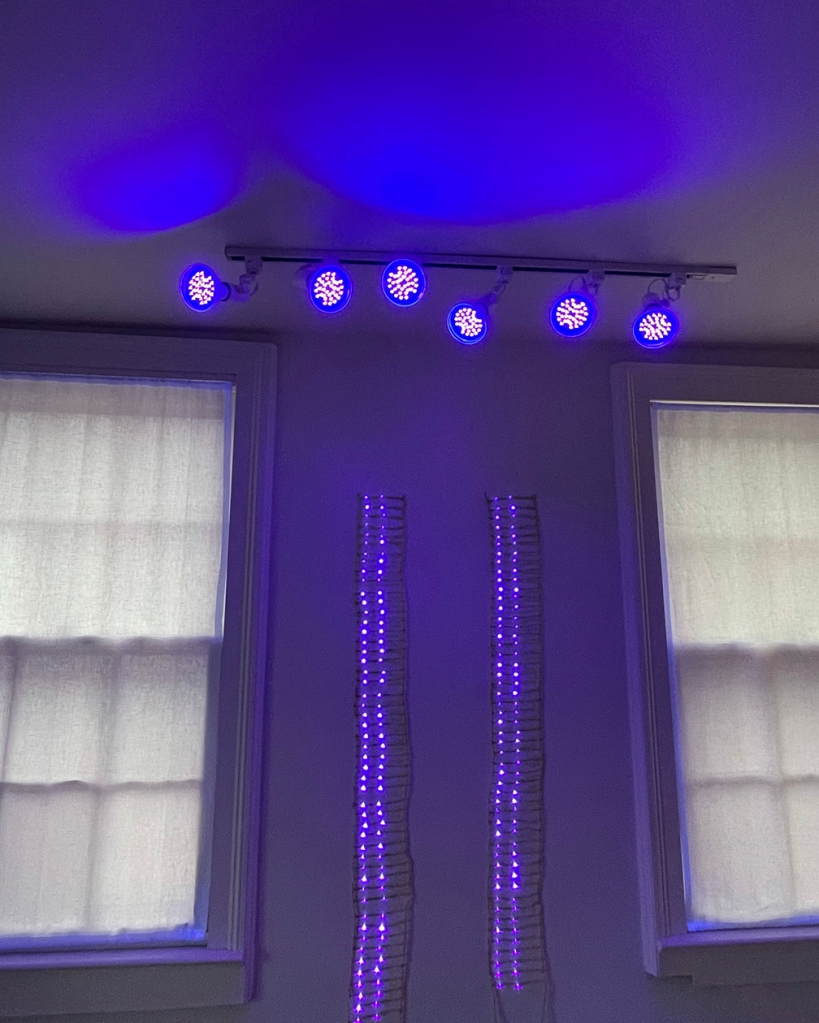 Purple/blue lighting set-up on the opposite side of the room with the blinds drawn on the window to help dim the setting.